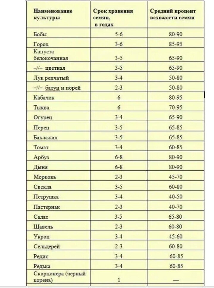 Через сколько всходят. Сроки годности семян овощных культур таблица. Сроки хранения семян овощных культур таблица. Сроки всхожести семян овощей таблица. Срок годности овощных семян таблица.