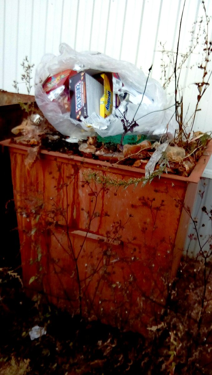 Закрывать баки крышкой бесполезно, срезают за ночь. Фото автора.