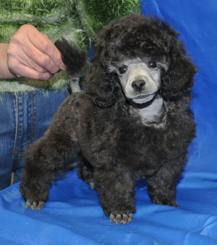 Фото с Интернета