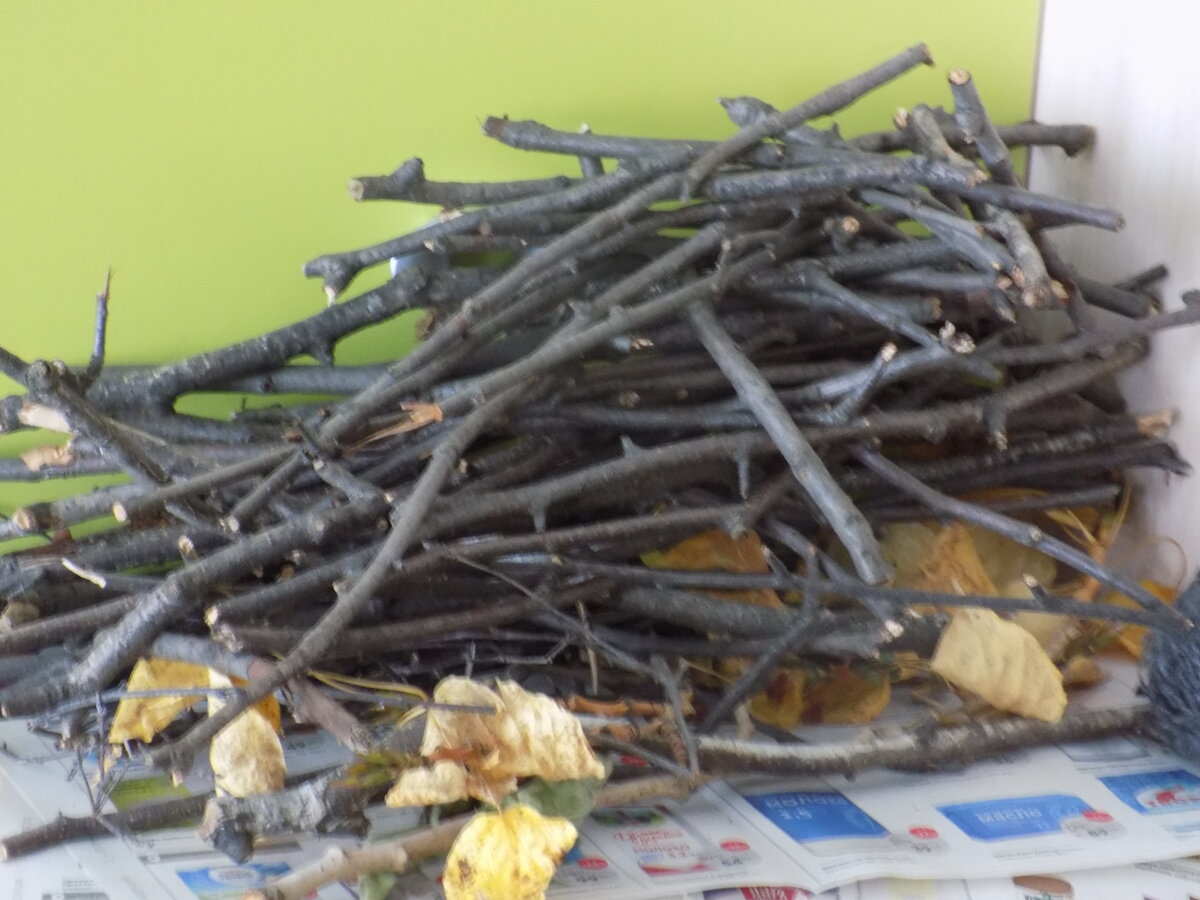 осенние поделки из природных материалов