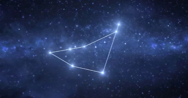 Козерог. Иллюстрация из открытых источников