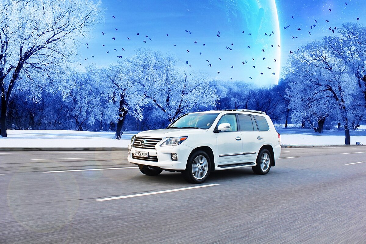 https://pixabay.com/ru/photos/авто-машина-автомобиль-транспорт-969048/