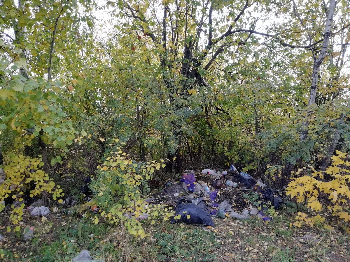 Кучи растут, присыпаются листьями и землей