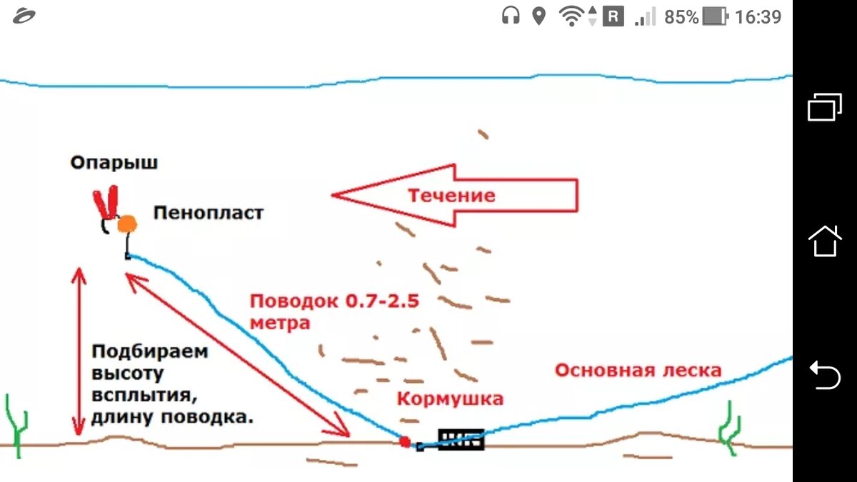 Ловля чехони на Финском заливе С лопатой и удочкой Дзен