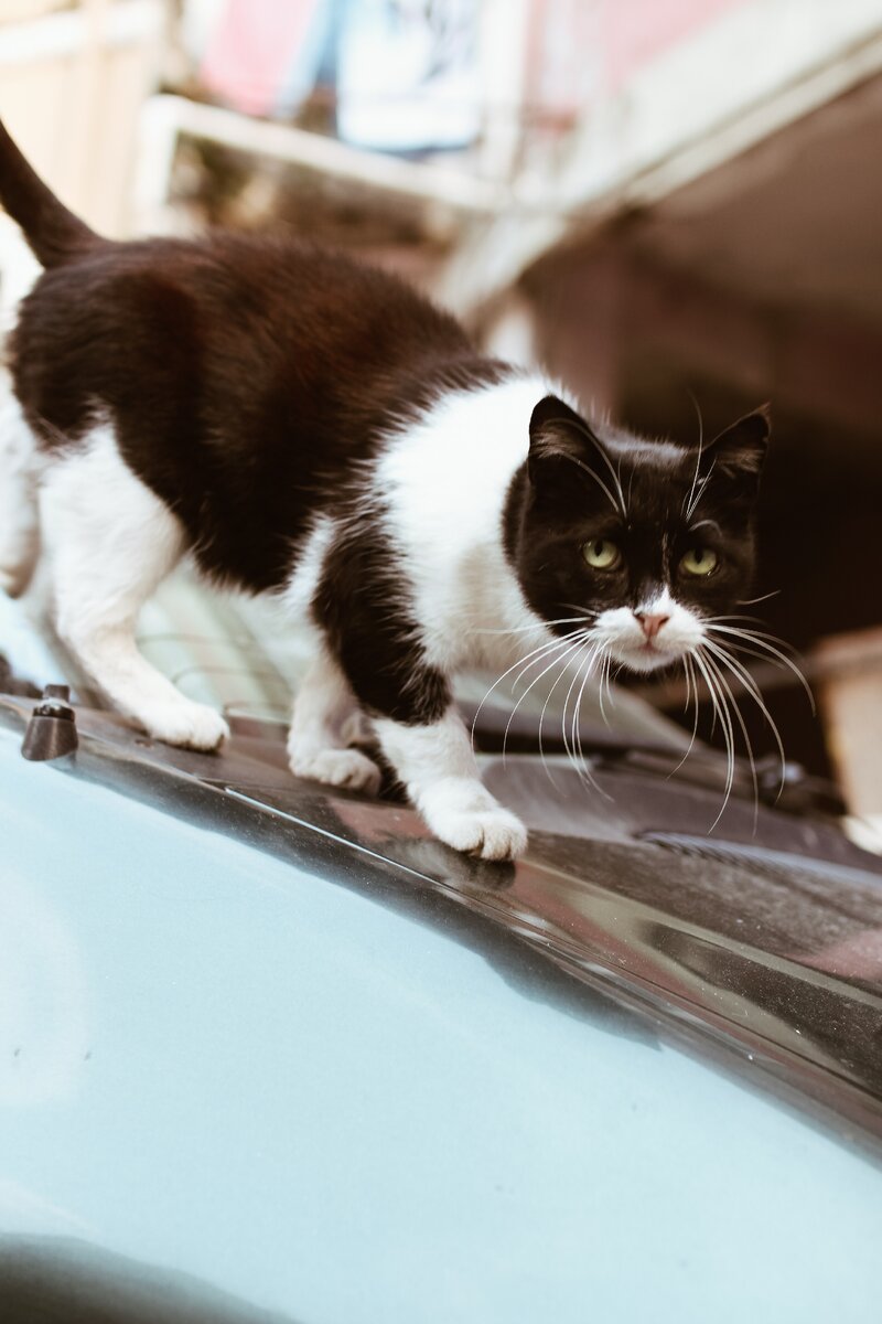 Охотник однажды- охотник навсегда