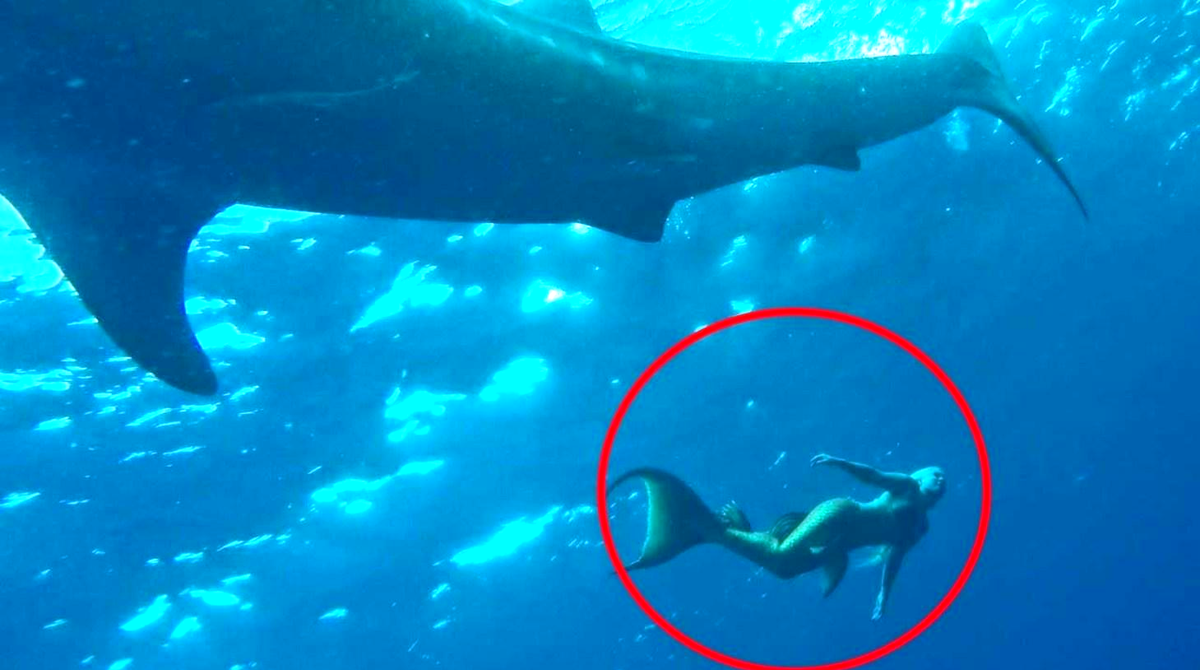 Фото взято из открытого источника