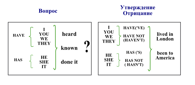 Глагол visit в present perfect