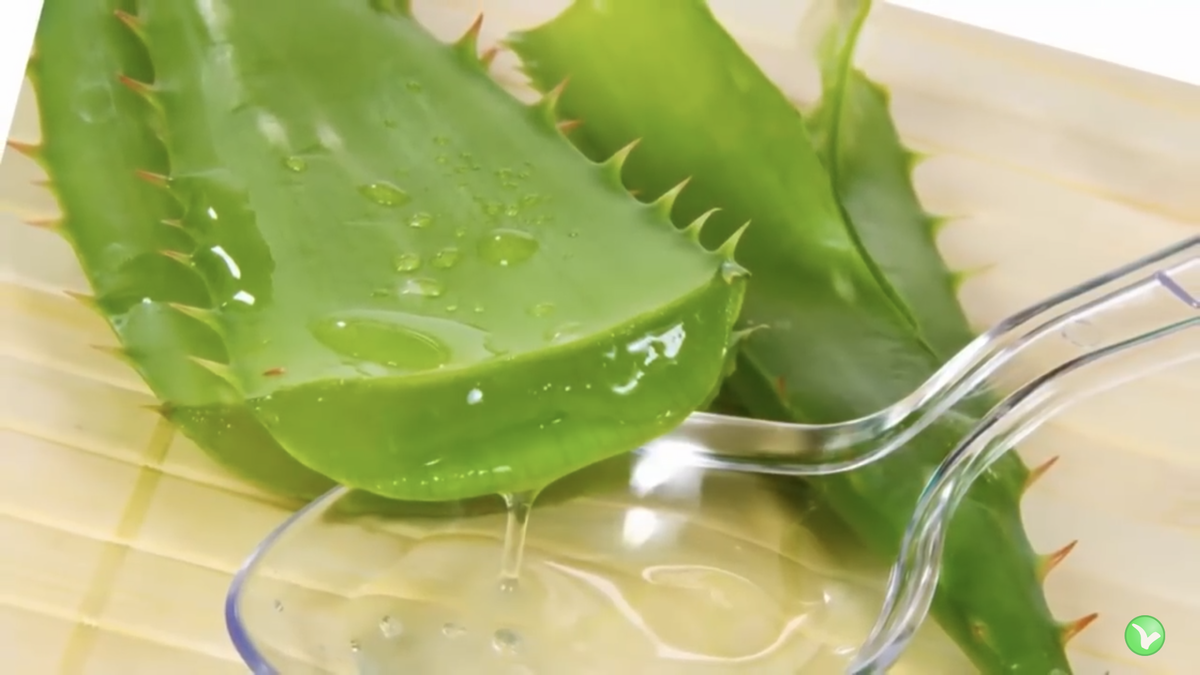 Из Яндекс картинки