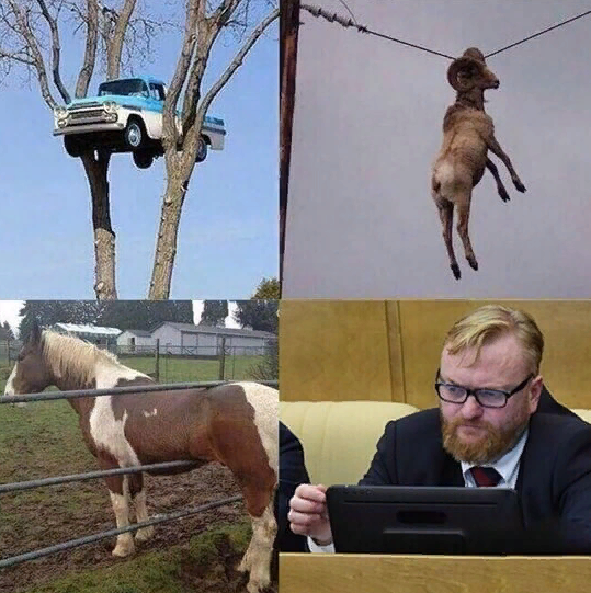 Источник Яндекс картинки