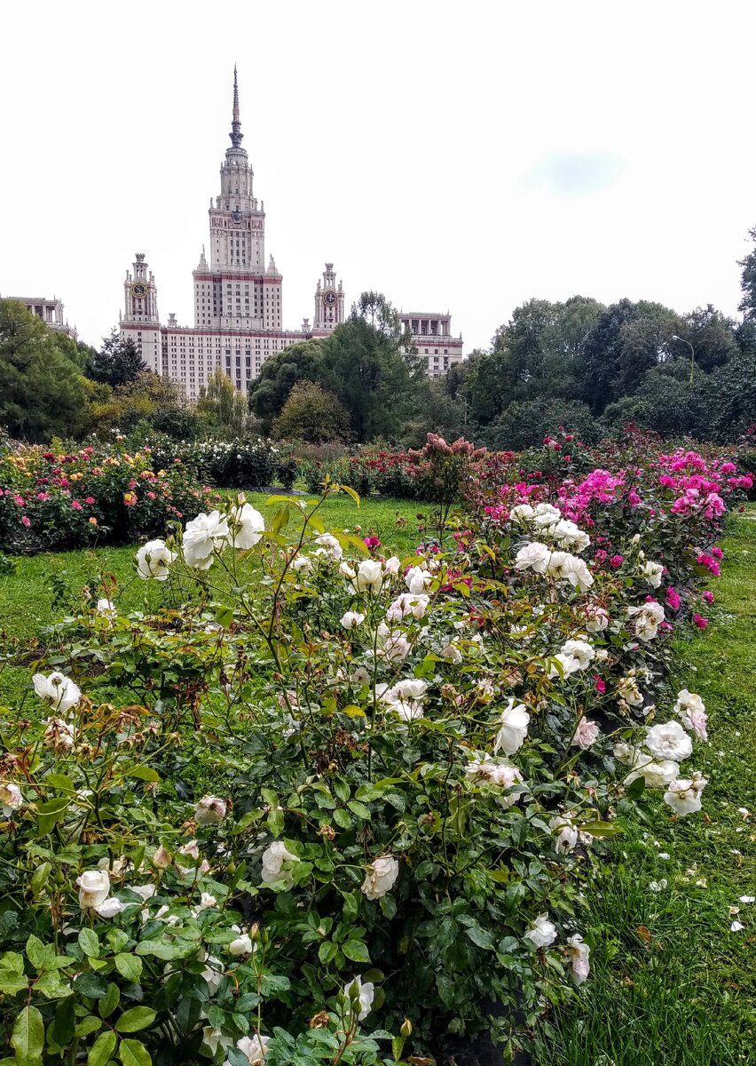 , д. 49б. дорога в городе. город 495. 71, корп.