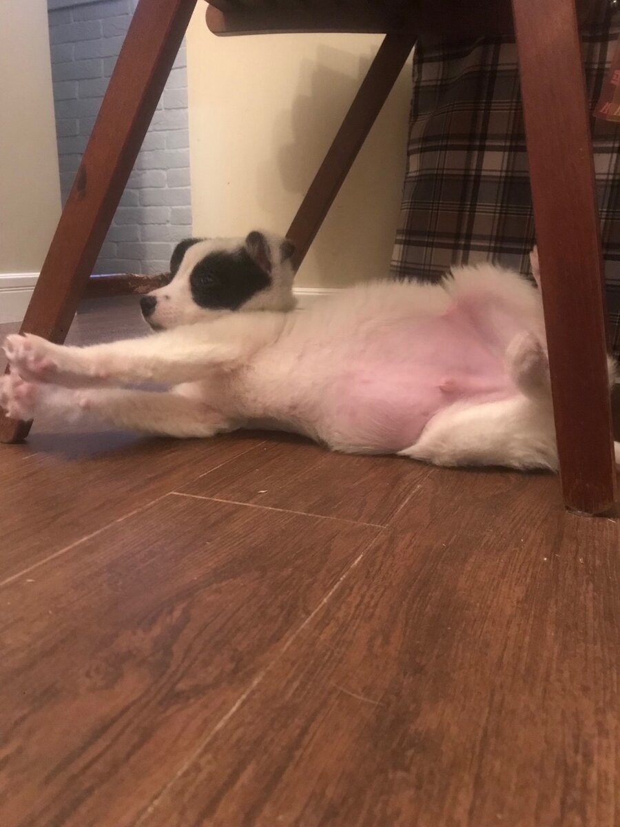 Сонные потягушки