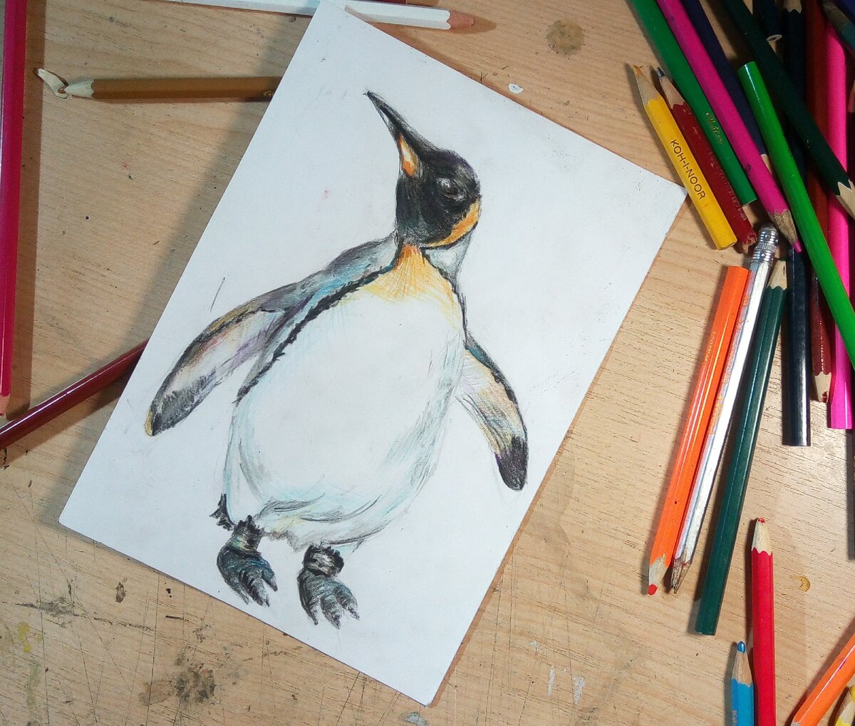 Пингвин нарисовать поэтапно акварель