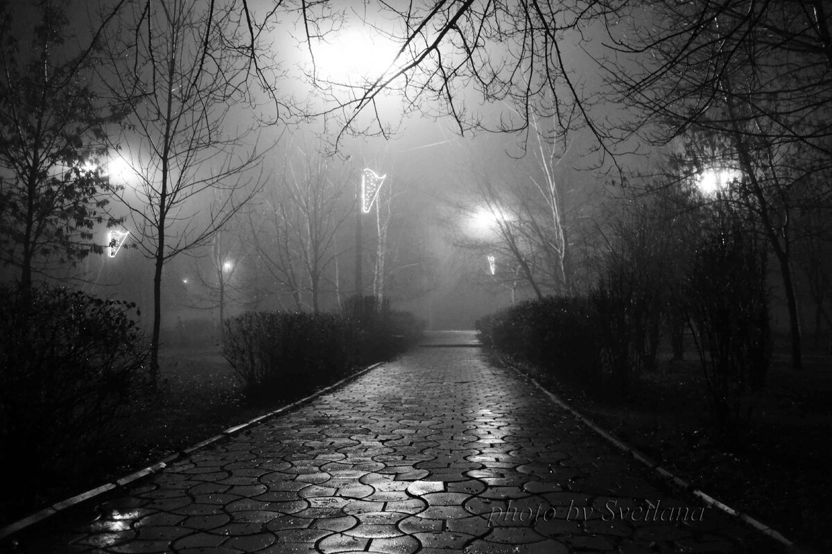 Photo by Svetlanka_Don