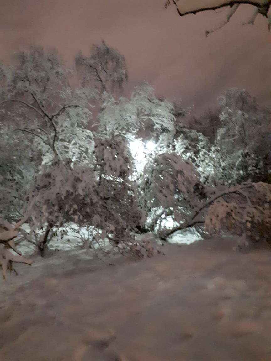 Зима на Крайнем Севере. Фото автора.