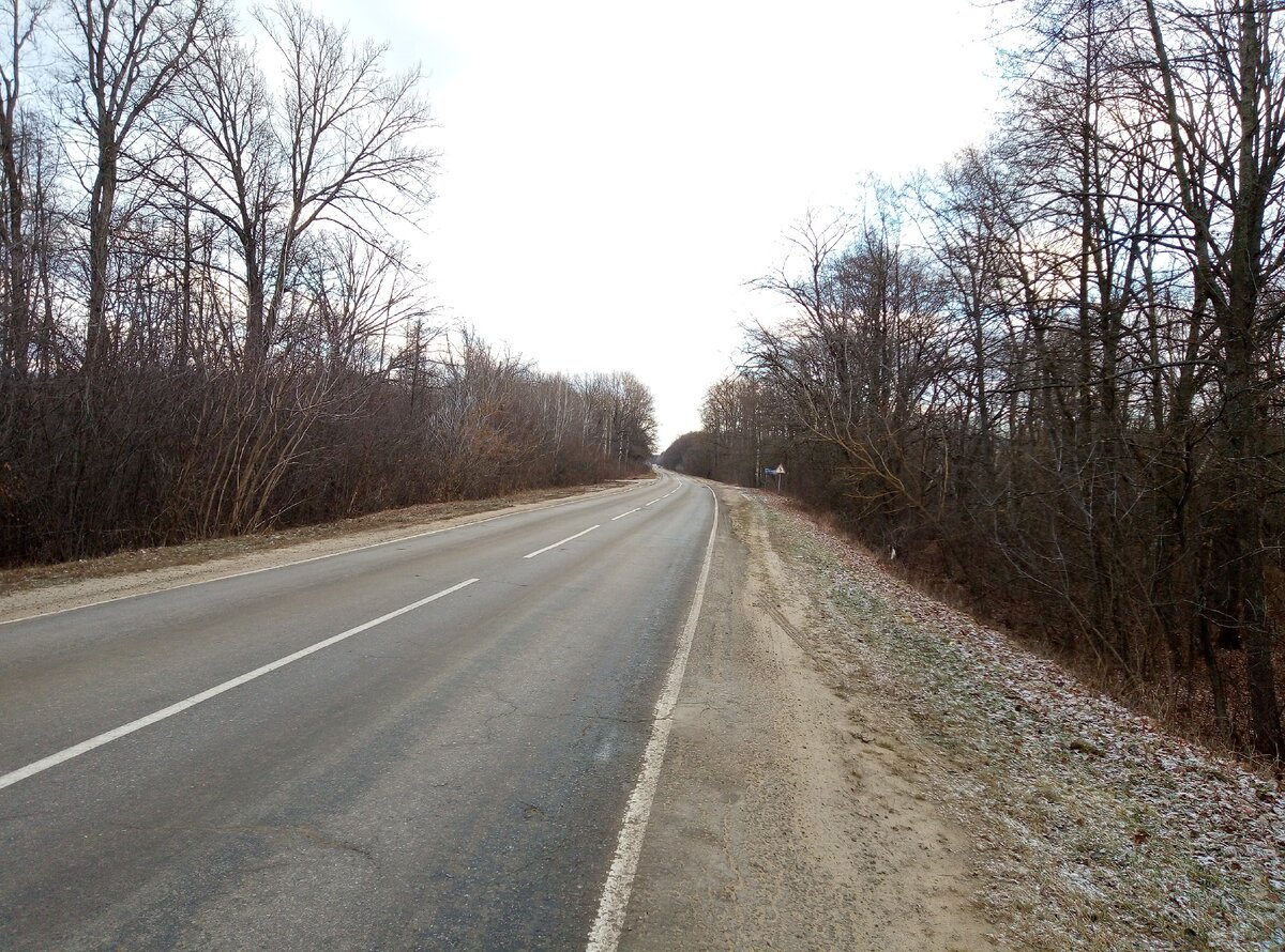 Участок трассы между Добрым и Мичуринском