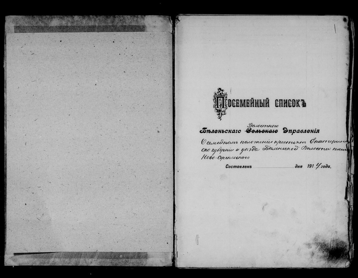 Обложка посемейного списка Беленского Волостного Управления. «О семейном положении Крестьян Екатеринославской губернии и уезда Беленской волости села Ново-Сергеевского», 1914 год.