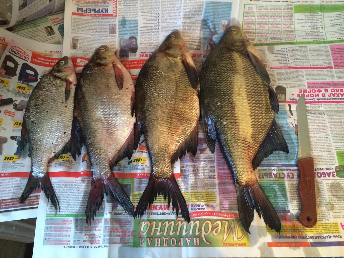 Листайте галерею