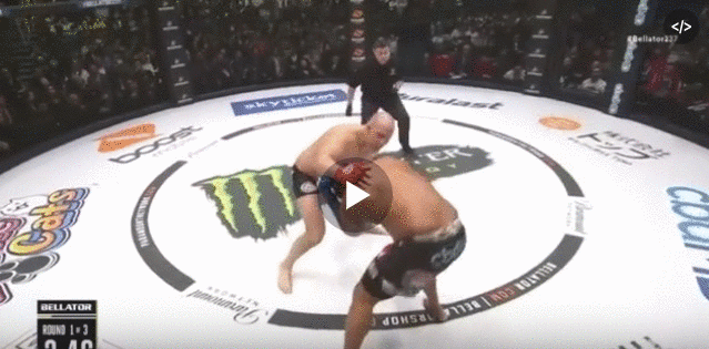 Фото взято из свободного источника.