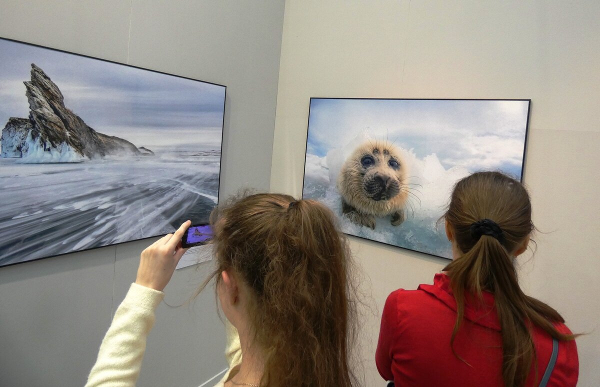 Фотографируют фотографии, фотографируются на фоне фотографий :)...