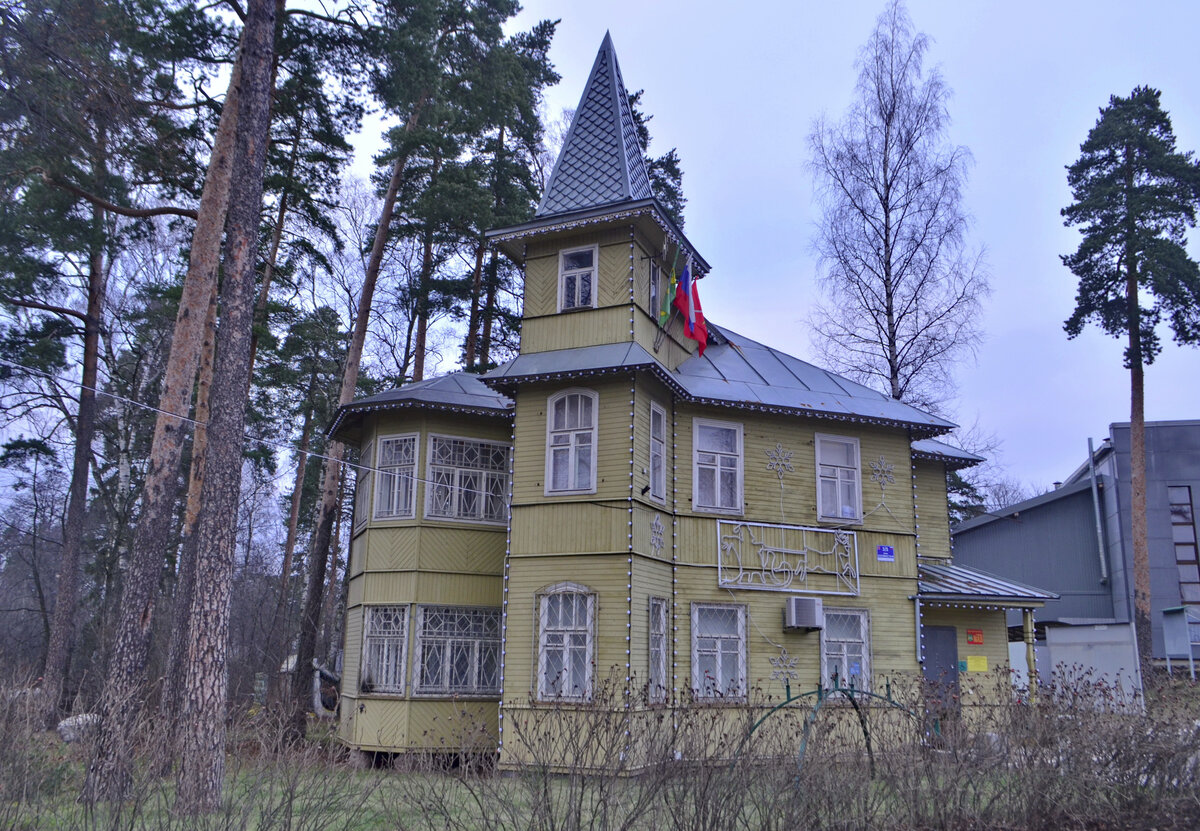 поселок лисий нос финский залив. парк морские дубки в лисьем носу. лисий нос курорт. лисий нос курорт. художник олег захаров лисий нос ул морская д.