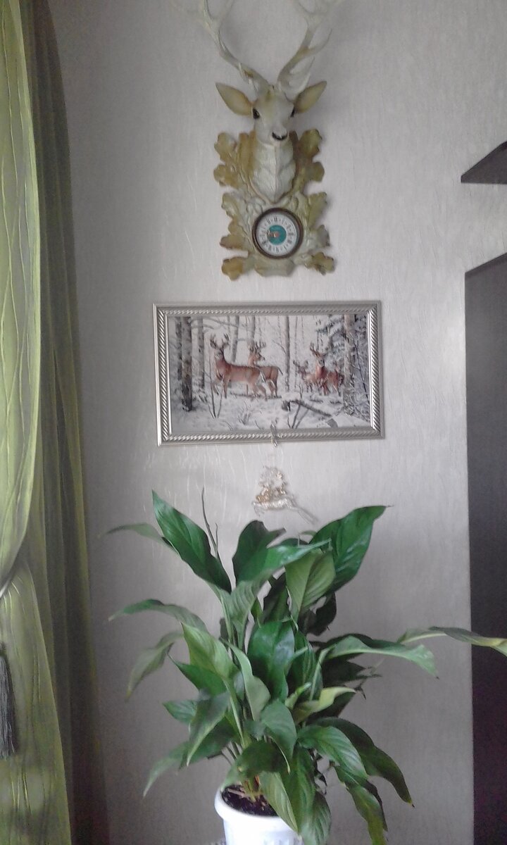 Вышивка от Дименшенс, фото читательницы канала