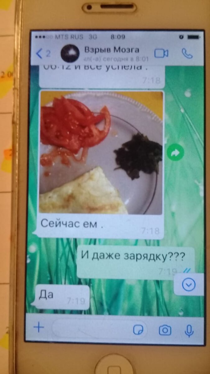 Личное. Вот. Омлетик сделала, помидорку порезала, салатик из морской капусты. Какой полезный завтрак! И зарядку успела!  Как будто я всего этого не видела.