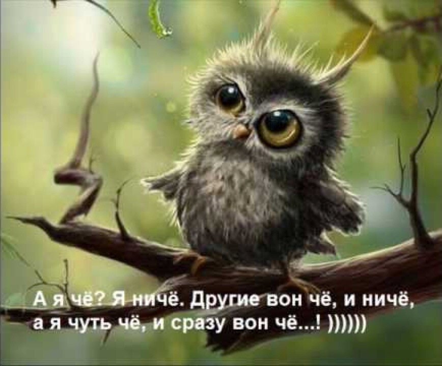 А я чё?