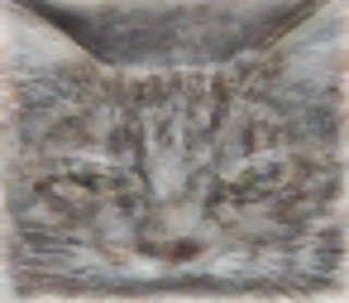 Кошка "глазами" нейронной сети. Автор: Блог Google 