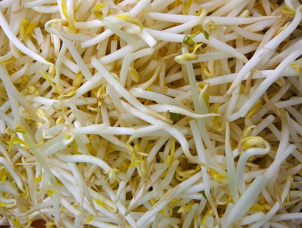 Фото с просторов интернета