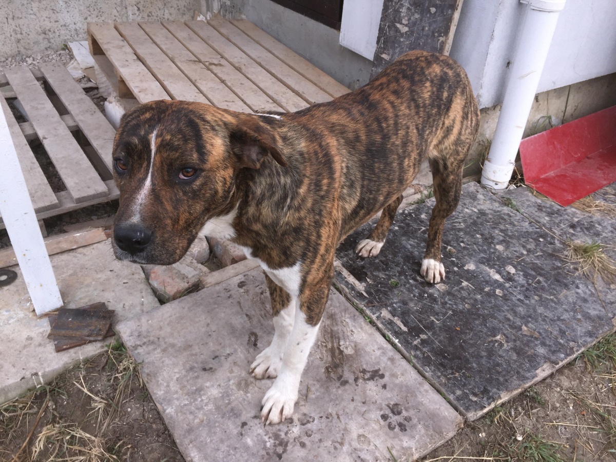 Фото из личного архива.