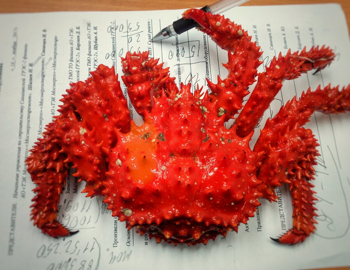 Сахалин-фото Евгения