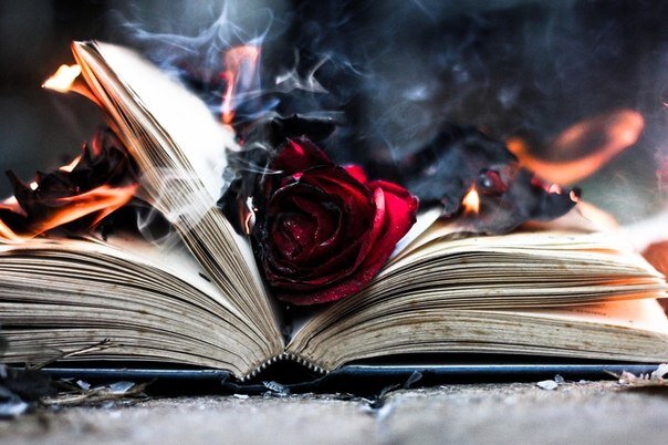 ТОП тяжелых и жестоких книг, которые вам стоит прочитать | Мамулик | Дзен