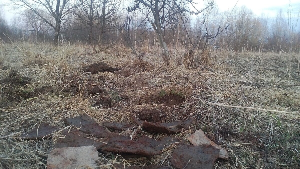 автор фото Александр 🛠