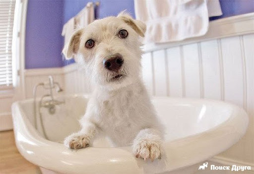 Источник Яндекс картинки 