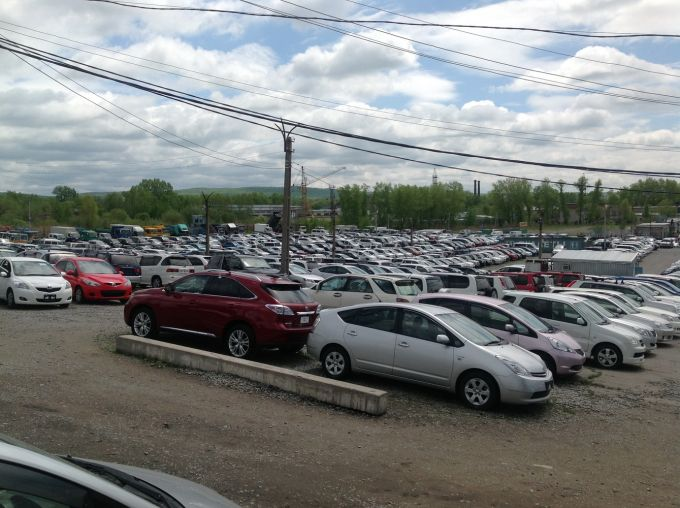 фото из открытого доступа