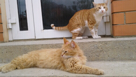 Ждем завтрака 🐠