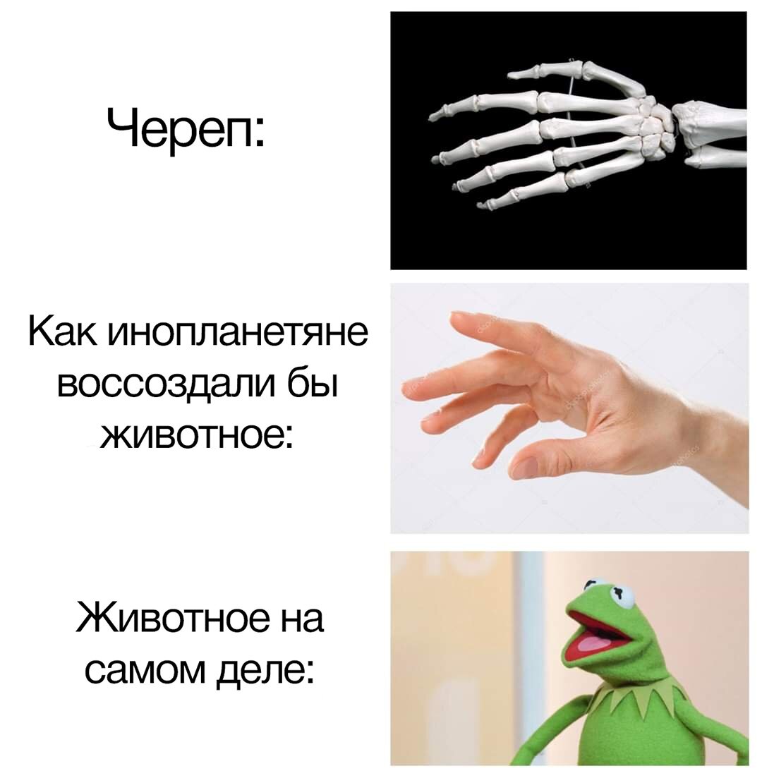 лягушка крутая