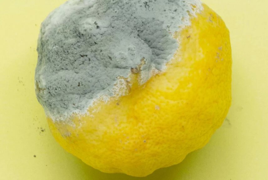 Фото: unsplash.com