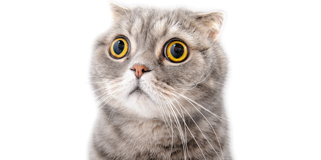 Как подарить 100 000 рублей рекламному агентству. Кейс