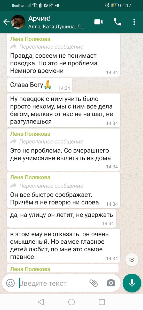 Из переписки в первый день....