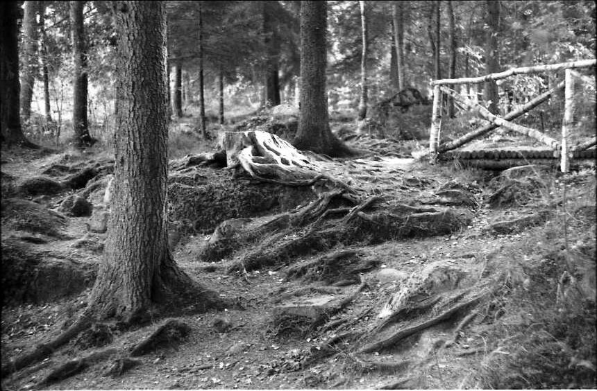 Ilford 400, zenit, Мон Репо