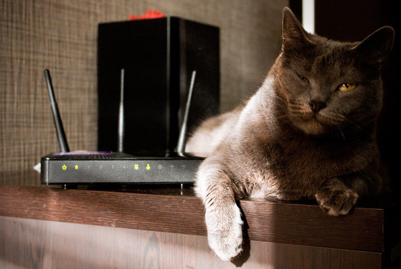 Источник: hsto