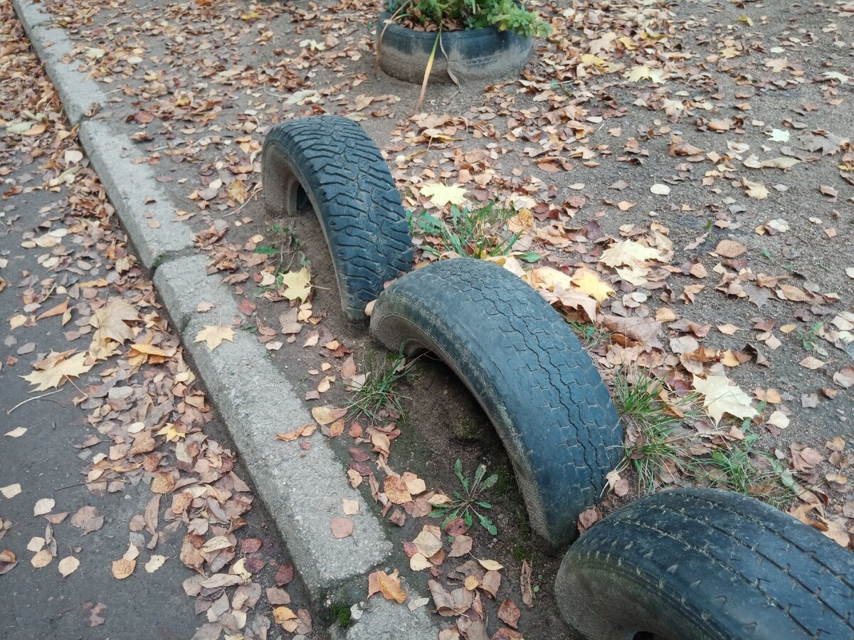 Секреты, красивого двора и дачи!