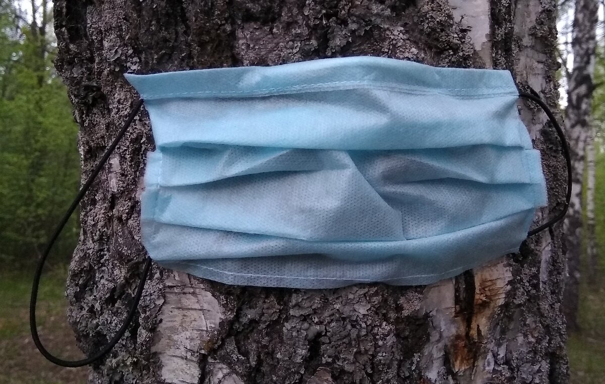 не будь деревом, носи маску