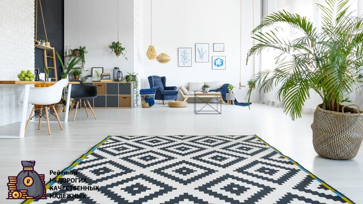 Выбираем недорогой пылесос