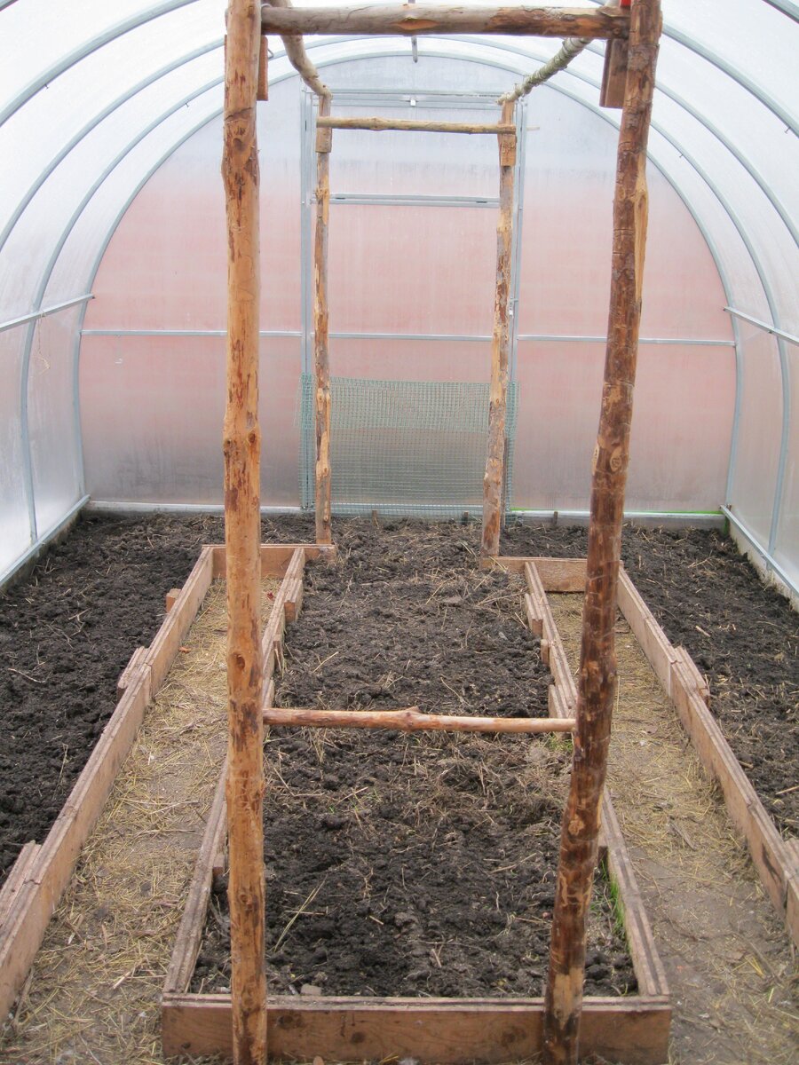 Этот "гимнастический снаряд" служит опорой для помидоров, ранней весной здесь будут стеллажи для рассады. Конструкция не закреплена к теплице, но прочно скреплена между собой.