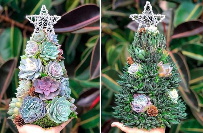 Изображение из открытых источников