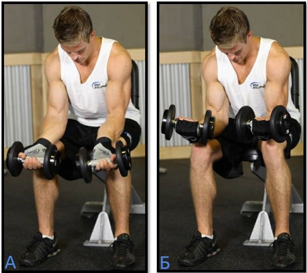 Сгибания запястий с гантелями ладонями вверх.  Источник фото: https://thepregnancy.ru/public/ryfullsizede27a32.jpg       