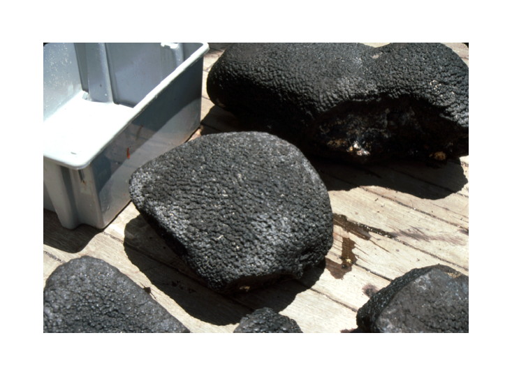 железомарганцевые корки, собранные Джеймсом Хайном