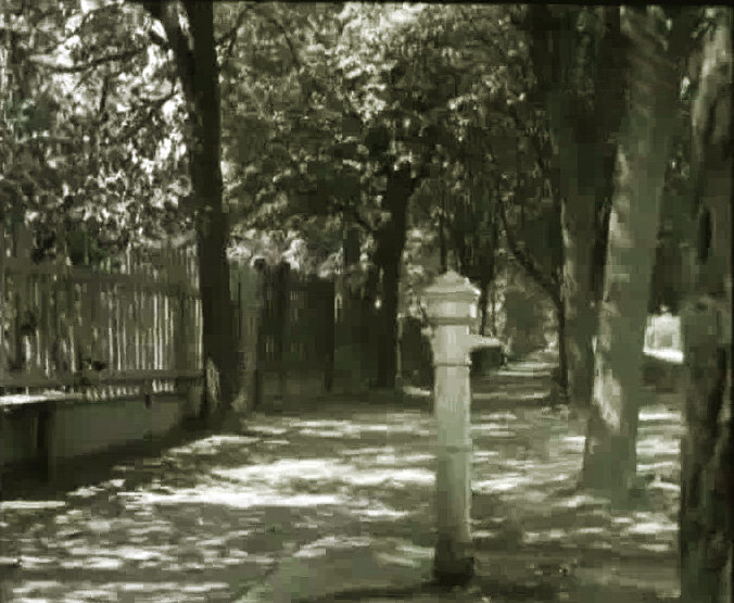 Аллея лип  на Измайловском проспекте. Кадр из фильма "Трое вышли из леса".